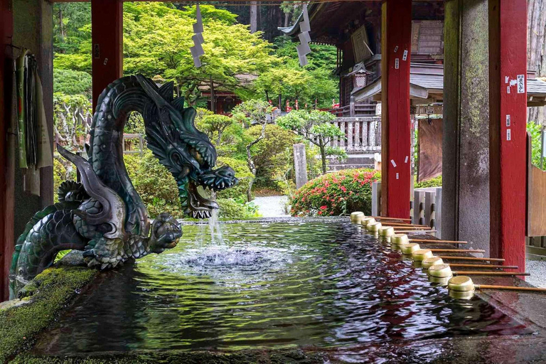 From Tokyo : Mount Fuji Private Day Trip with Hotel Pickup Mount Fuji & Hakone Customize Tour With English Guide