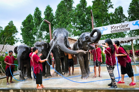 Phuket : Esperienza di alimentazione e bagno degli elefanti