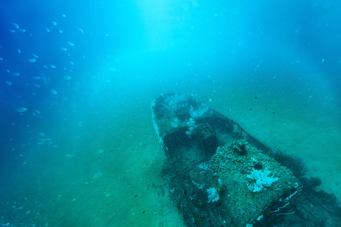 Colombo: Shipwreck Diving Experience within the city
