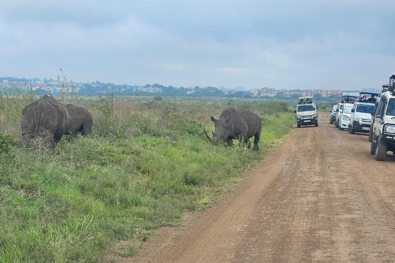 Nairobi National Park Safari, Baby Elephants & Giraffes Nairobi National Park Safari, Baby Elephants & Giraffes