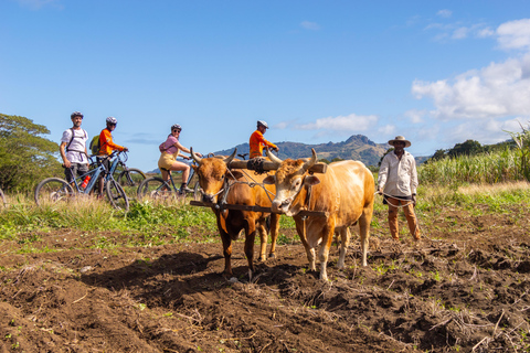 Off-Road E-Bike Tour mit ortskundigen Guides