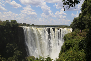 Livingstone image