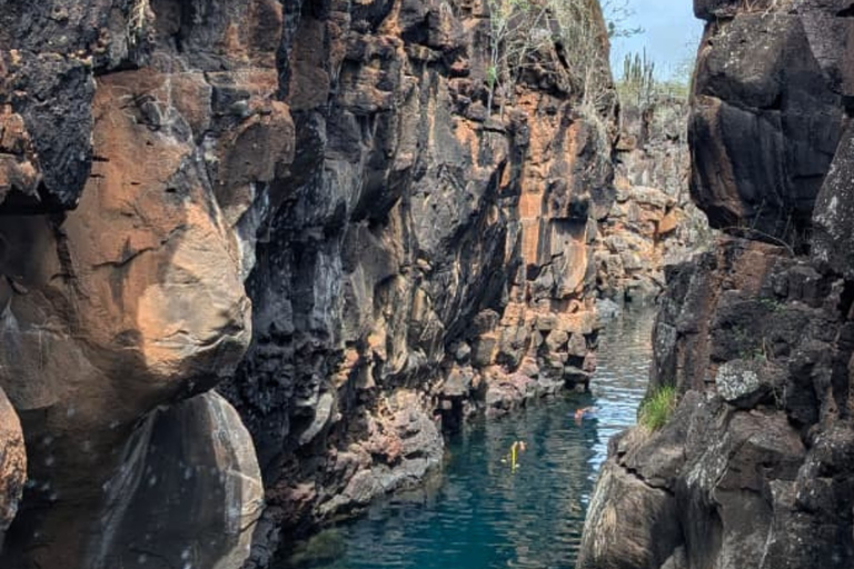 Bahía sightseeing tour in Santa Cruz, Galapagos: Discover its Hidden Treasures. Bahía sightseeing tour in Santa Cruz, Galapagos: Discover its hidden treasures.