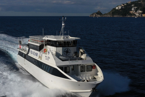 Discover Positano: Scenic Ferry Between Salerno and Positano Positano →→→ Salerno (One Way)