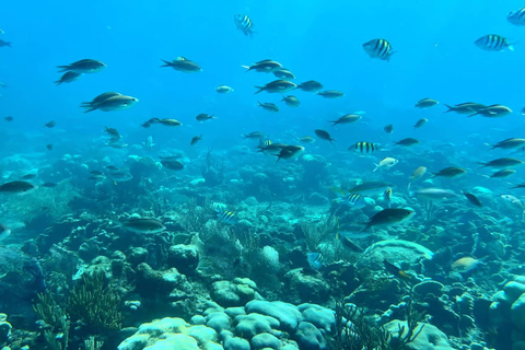 Punta Cana: Catalina Island Snorkeling Tour with Lunch