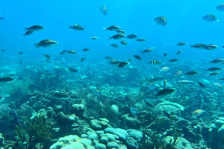 Punta Cana: Catalina Island Snorkeling Tour with Lunch