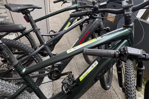 Bled: Premium Bike Rental