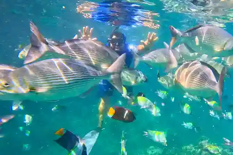 Mismaloya : Plongée en apnée, saut de falaise et visite de la plage