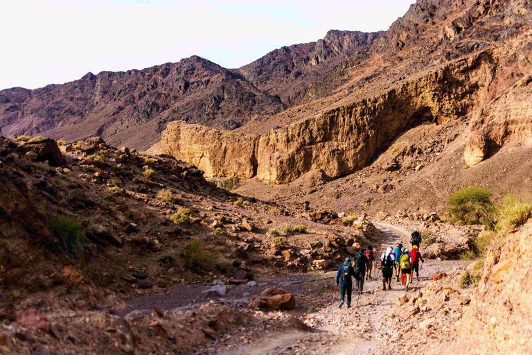 Petra to Wadi Rum Hiking Tour (7 Days) | All-Inclusive