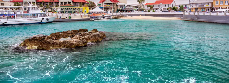 Grand Cayman : visite de l'ouest de l'île avec billets d'entrée