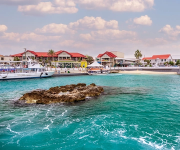 Grand Cayman: West Island Guided Tour with Entry Tickets