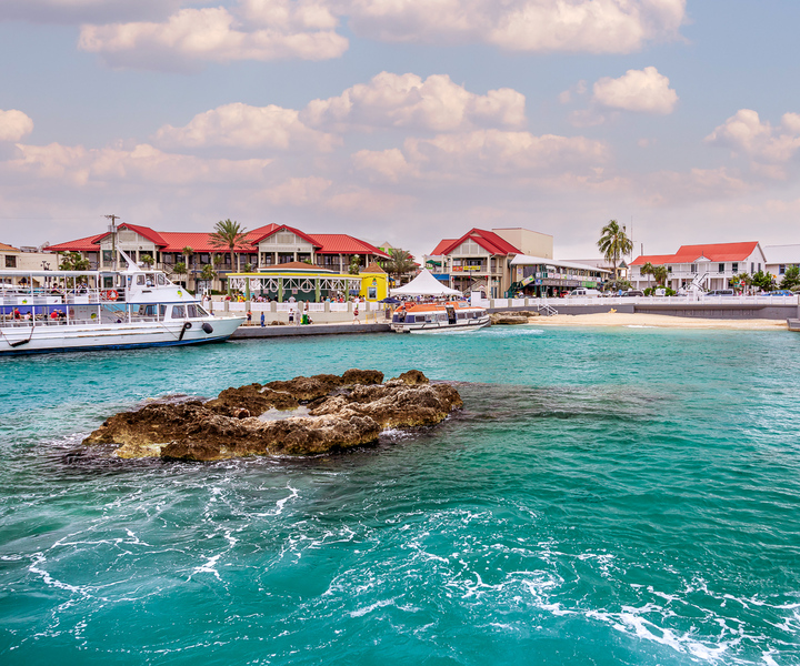 Grand Cayman: excursão guiada à West Island com ingressos