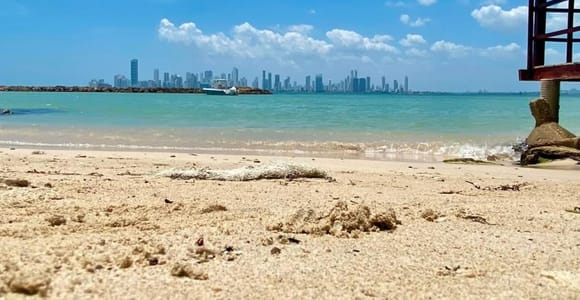 From Cartagena: Marasú – Tierra Bomba, Lunch & Boat Ride