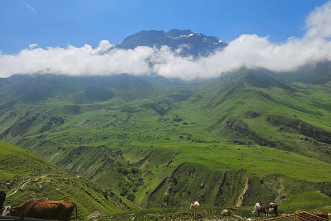 باكو: جولة شاهداغ وجبال قصب الحلوى لمدة 3 أيام