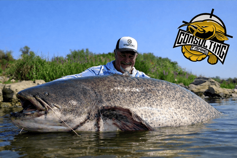 Catfish fishing in the Camargue and a boat tour of the Pont d'Avignon