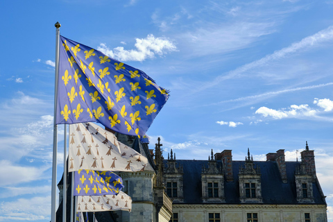 Amboise: Tour guidato a piedi privato con Château d&#039;Amboise