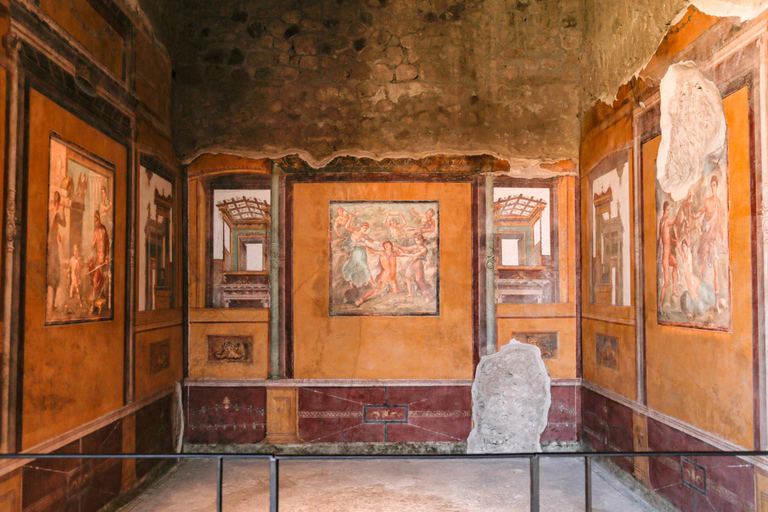 Pompeii: Private Guided Tour with Pick-up Private Tour in French from Positano