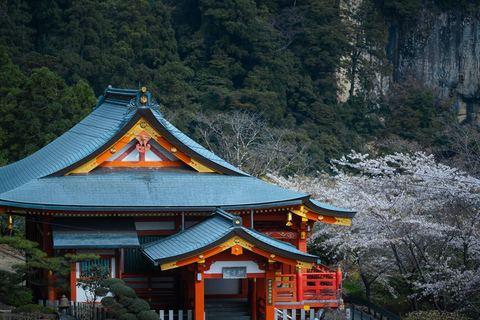 Guided Wakayama Heritage & Forest Trails with Hotel Pickup