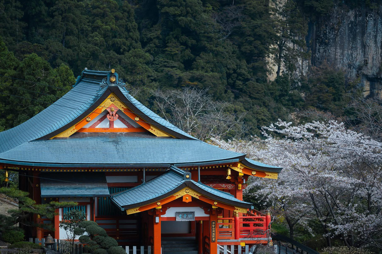 Guided Wakayama Heritage & Forest Trails with Hotel Pickup