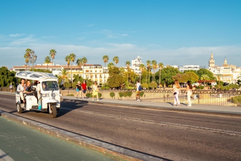Sevilla: Stadtrundfahrt mit einem privaten elektrischen Tuk-TukSevilla: Express-Stadtrundfahrt mit dem elektrischen Tuk-Tuk (1 Stunde)