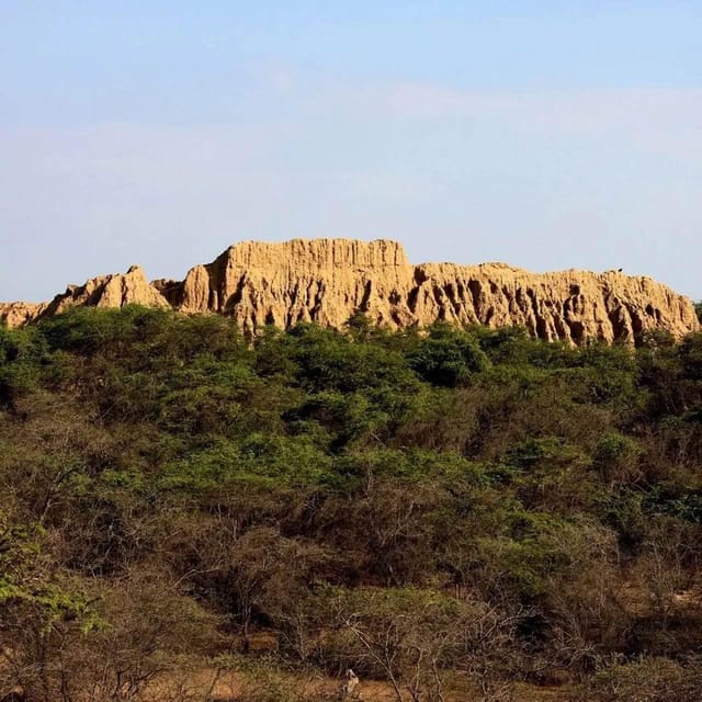 Tucume Pyramids Túcume Pyramids and Bosque Pomac Adventure | GetYourGuide