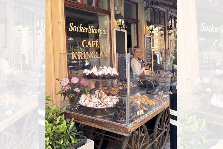 Gothenburg: Private Walking Tour by Official Tour Leader