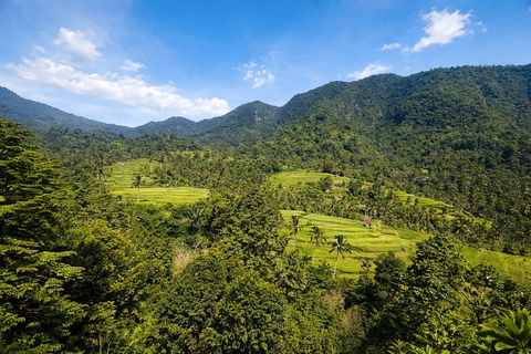 Bali: Sekumpul Waterfall With Waterslide & Rice Terrace Trek Group Tour with Hotel Transfer in Central Bali Area