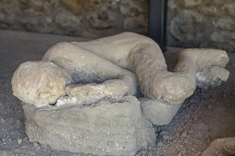 Pompeii: Private All-Inclusive Tour from Naples