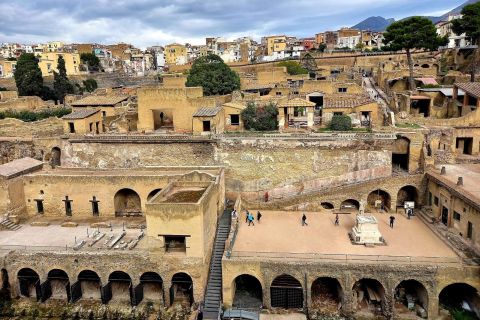 From Naples: Herculaneum Ruins Tour