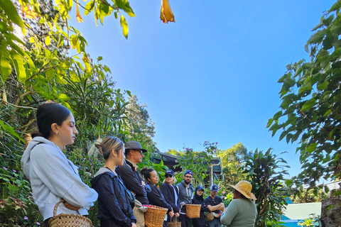 Ancestral Coffee Experience:Become a Coffee Farmer for a Day