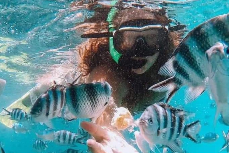 Mauritius: Wizyta łodzią ze szklanym dnem BlueBay i snorkelingPrywatna wycieczka
