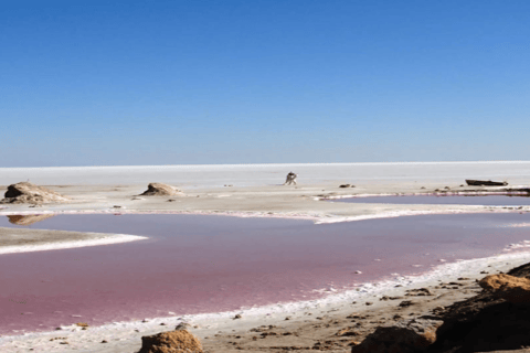 Aventure dans le sud de la Tunisie : 2 jours et 1 nuit de merveilles