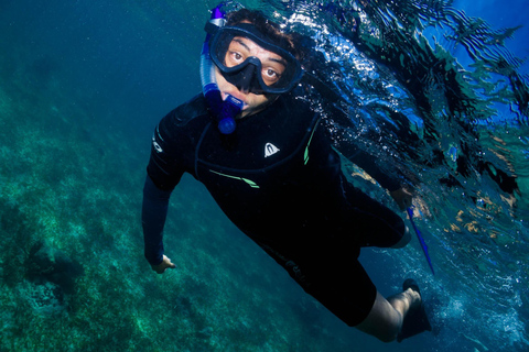 Snorkeltour: zoeken naar schildpadden bij de Mahahual-riflaguneSnorkeltour: schildpadden zoeken bij de Mahahual-riflagune