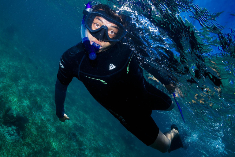 Snorkeltour: zoeken naar schildpadden bij de Mahahual-riflaguneSnorkeltour: schildpadden zoeken bij de Mahahual-riflagune