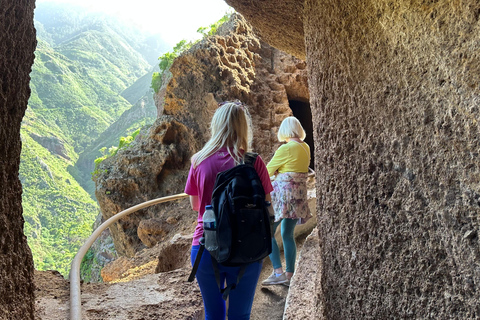 Tenerife: Anaga Hidden Gems Tour with Free Pickup Explore Anaga's hidden gem. Private tour.