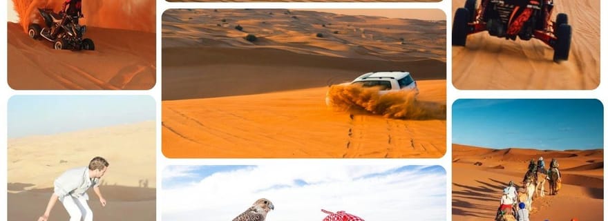 Safari dans le désert, visite de la mer intérieure avec balade à dos de chameau et transfert
