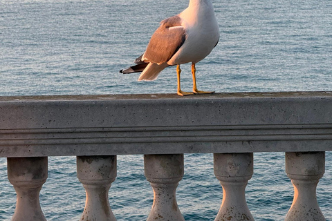 Cadiz: Guided Old Town Tour Cadiz: Guided Old Town Walking Tour