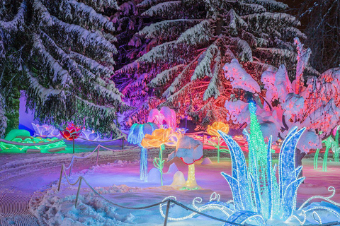 Arctic Fantasy Park Entry Ticket