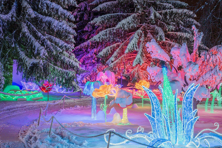 Arctic Fantasy Park Entry Ticket