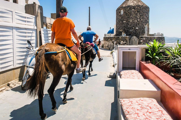 Creta: escursione in barca a Santorini con visita a Oia e FiraArea di Heraklion 2: tour con trasferimento incluso