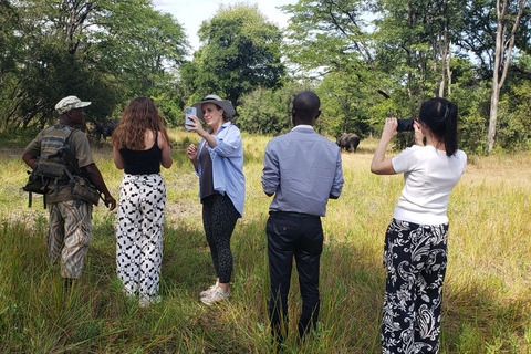 Livingstone: Mosi-oa-Tunya National Park White Rhino Tour