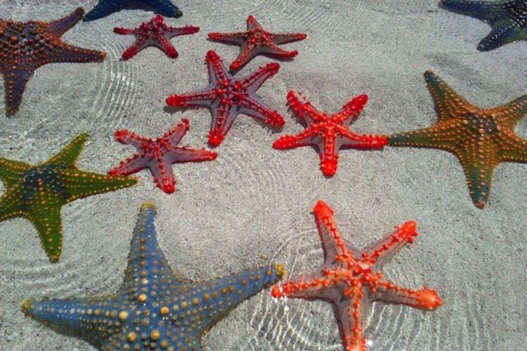 Kuza Cave Tour, Starfish Adventure, The Rock, Paje Beach