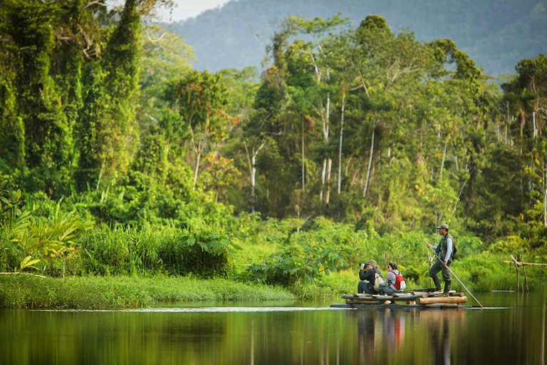 Desde Cusco: Tour Manu - Tambopata - Puerto Maldonado 8D/7N