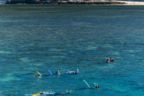 Whitsunday: Excursão às Ilhas Whitsunday com mergulho com snorkel e almoço