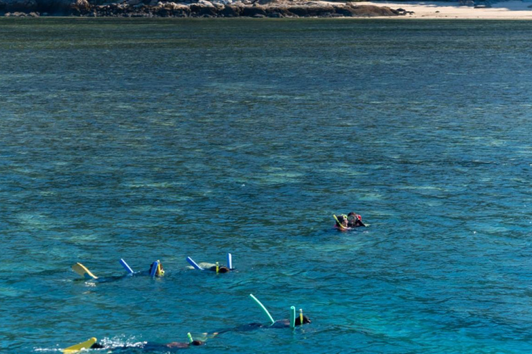 Whitsunday: Excursão às Ilhas Whitsunday com mergulho com snorkel e almoço