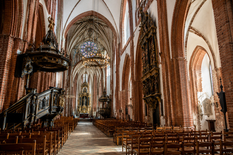 From Copenhagen: Private Roskilde Cathedral & Viking Tour
