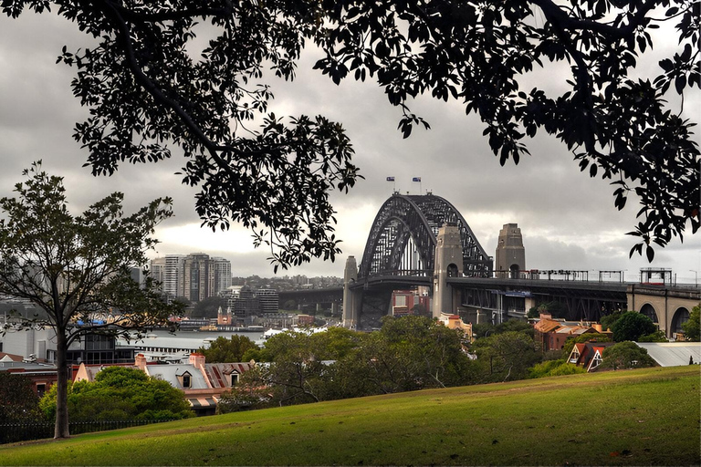 Sydney: Bondi Beach, Ópera y Visita Privada a la Ciudad de Sídney