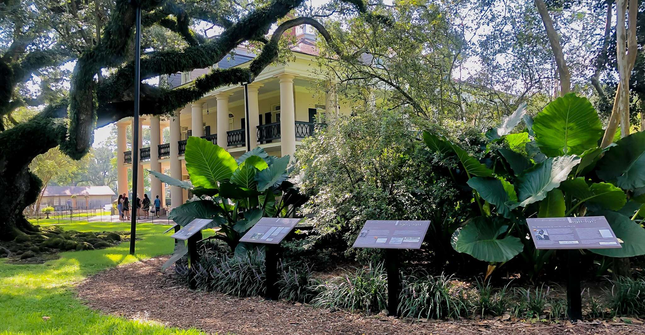 New Orleans, Oak Alley Plantation Yarım Gün Turu - Hizvo