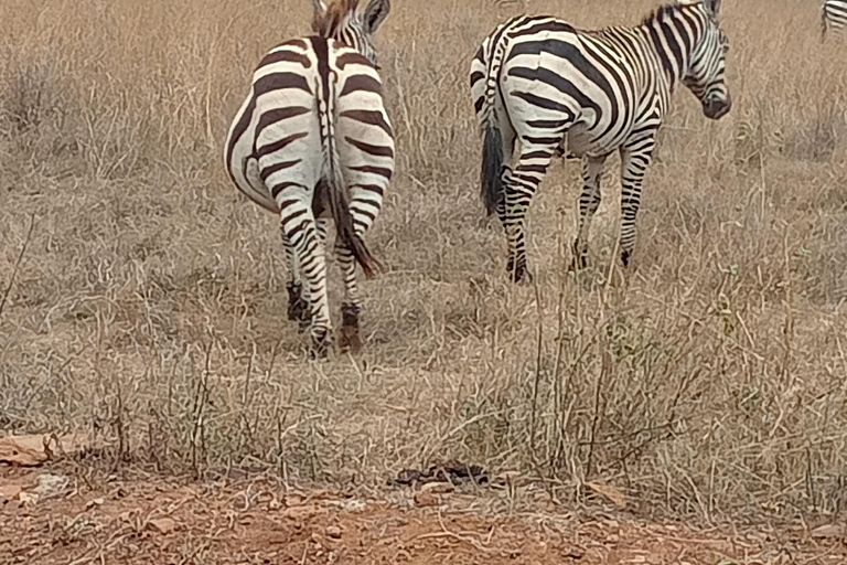 Lake Nakuru National Park von Nairobi aus