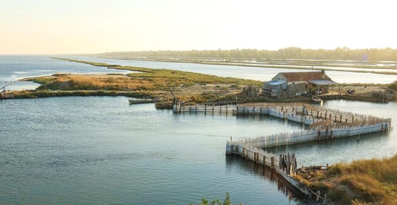 Golem/Durrës: Karavasta Lagoon Tour
